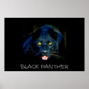 Recherche de black panthers posters Animaux