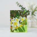 Recherche de plantes tropicales cartes postales Pour eux