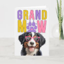 Zoek naar mountain dog kaarten Honden