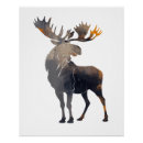 Recherche de illustration graphique art Nature