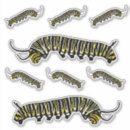 Recherche de monarque autocollants Insecte