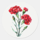 Zoek naar rode anjer stickers Bloem