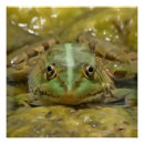 Recherche de patins posters Mignon