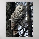 Zoek naar waakzaamheid posters Vogels