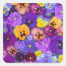 Recherche de fleurs de pensée autocollants Floraison