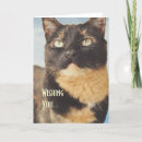 Zoek naar wensen van de kat verjaardagskaarten Huisdier