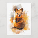 Recherche de quokka cartes postales Aquarelle