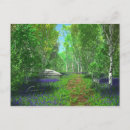 Zoek naar bluebell briefkaarten Bossen
