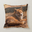 Recherche de wild animals coussins Animaux