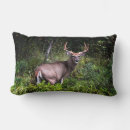 Zoek naar books kussens For him