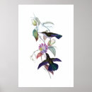 Recherche de de colibri art Botanique