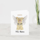 Recherche de yorkshire terriers vœux cartes Pour animaux