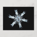 Recherche de stellaire cartes postales Espace