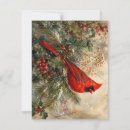 Recherche de carte de cardinale noël cartes Neige