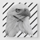 Recherche de aigles horloges Oiseau