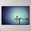 Zoek naar eksters posters Vogel
