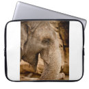 Zoek naar olifant laptop sleeves Wild