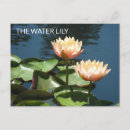 Recherche de fleurs artistiques cartes postales Pour tous