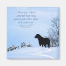 Recherche de laboratoires magnets Labrador