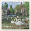 Zoek naar witte zwaan onderzetters Vogel