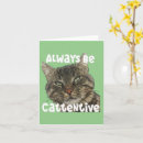 Recherche de chaton drôle vœux cartes Amusant