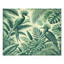 Recherche de tropical feuillage posters Oiseaux
