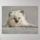 Recherche de minou mignon art Domestique