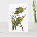 Recherche de petit oiseau vœux cartes Illustration