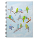 Recherche de perroquet carnets Oiseau