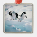 Zoek naar pinguin ornamenten Pinguïns