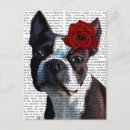 Recherche de terrier de boston cartes postales Fleurs