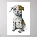 Zoek naar pit posters Pitbull dog