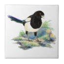 Zoek naar magpie tegels Dier