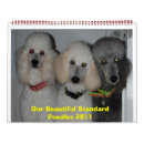 Recherche de caniche bureau fournitures Standard