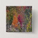 Recherche de palettes badges Photographie