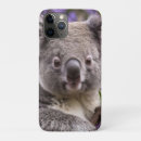 Recherche de ours koala iphone coques Australien
