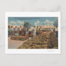 Recherche de tarpon springs cartes postales Lanterne