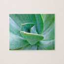 Recherche de succulent puzzles Nature