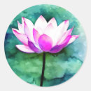 Recherche de lotus autocollants Peinture
