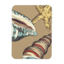 Recherche de étoile magnets Conque