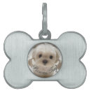 Recherche de princess animaux articles Mignon