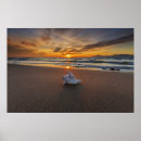 Zoek naar shell posters Zeeschok