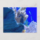 Recherche de hippocampe cartes postales aquatique