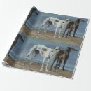 Zoek naar greyhound cadeaupapier Schilderij