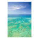 Recherche de corail turquoise posters Océan