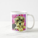 Recherche de chien de terrier tasses Chiot mignon