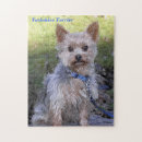 Recherche de yorkshire puzzles Yorkie