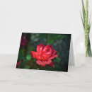 Recherche de vert anniversaire de mariage cartes Nature