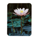 Recherche de vue magnets Image en couleur