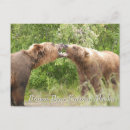 Recherche de ours brun cartes postales Alaska